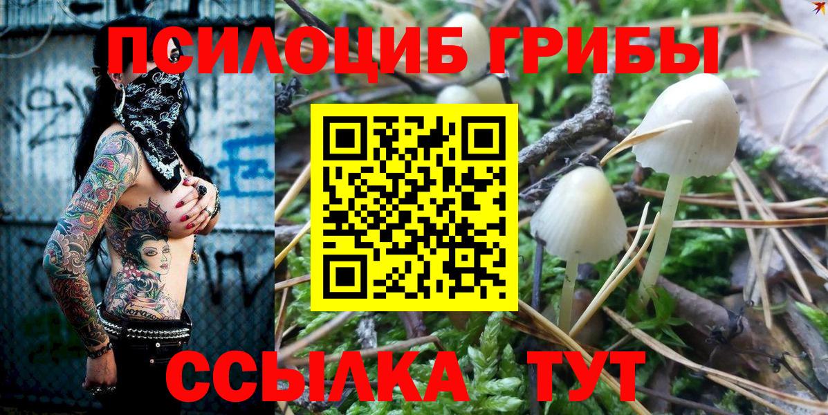Галлюциногенные грибы прущие грибы  магазин  наркотиков  Заинск  Вход с VPN 